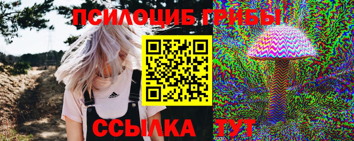 Псилоцибиновые грибы Psilocybine cubensis  Вход с VPN  Красноармейск 